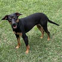 Thumbnail photo of Trudy #2