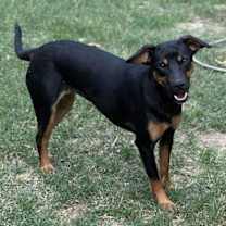 Thumbnail photo of Trudy #3