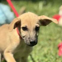 Thumbnail photo of Casper #1