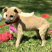 Thumbnail photo of Casper #4