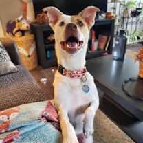 Thumbnail photo of Ava #1