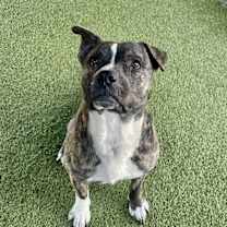 Thumbnail photo of Tootsie Roll #1