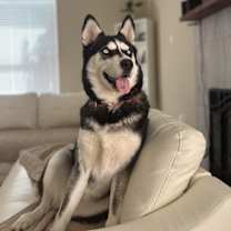 Thumbnail photo of Elizabeth #2