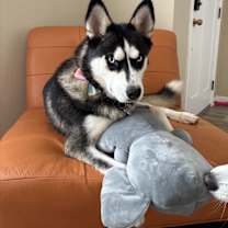 Thumbnail photo of Elizabeth #4