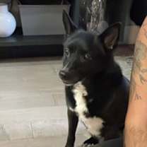 Thumbnail photo of REX #1