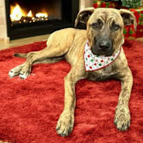 Thumbnail photo of June #1