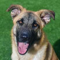 Thumbnail photo of Dale #1