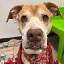 Thumbnail photo of Odin #3