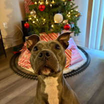 Thumbnail photo of Mia #1