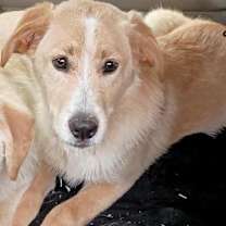 Thumbnail photo of Carrie #1