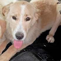 Thumbnail photo of Carrie #2