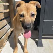 Thumbnail photo of Ranger #5 #4