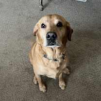 Thumbnail photo of Gunner #1