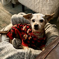 Thumbnail photo of Princess #1