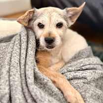 Thumbnail photo of Princess #3