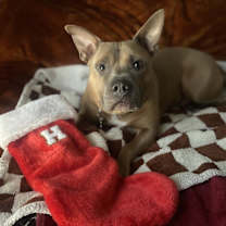 Thumbnail photo of Hank #1