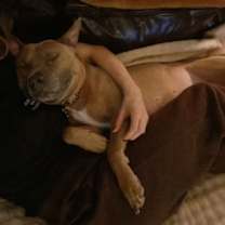 Thumbnail photo of Hank #2