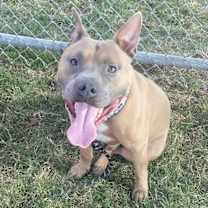 Thumbnail photo of Hank #3