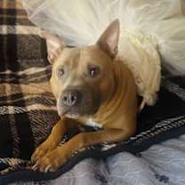 Thumbnail photo of Hank #4