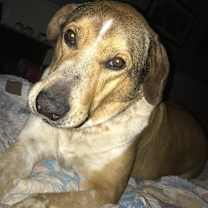 Thumbnail photo of Serenity #1