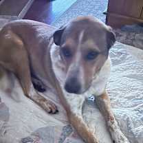 Thumbnail photo of Serenity #2