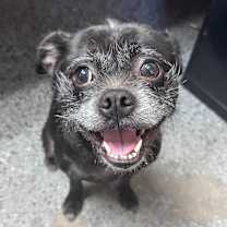 Thumbnail photo of Bao (Gretchen) 28235 #2