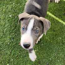 Thumbnail photo of Andy JuM #1