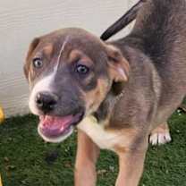 Thumbnail photo of Cari JuM #1