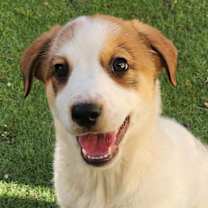 Thumbnail photo of Zuri JuM #1