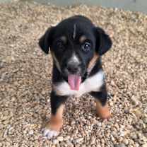 Thumbnail photo of Odessa JuM #4