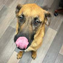 Thumbnail photo of Dre #2