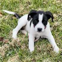 Thumbnail photo of Wanda #3