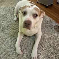 Thumbnail photo of Jax #1