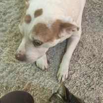 Thumbnail photo of Jax #3