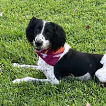 Thumbnail photo of Noodle #3