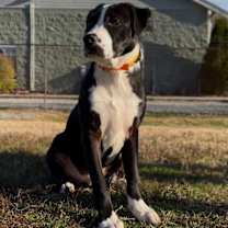 Thumbnail photo of Shooter #1