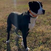 Thumbnail photo of Shooter #2