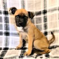 Thumbnail photo of Espresso #1