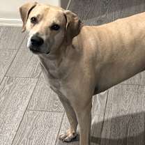 Thumbnail photo of Rome #3