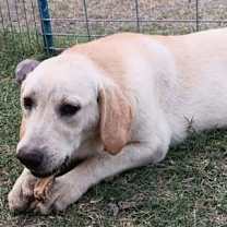 Thumbnail photo of Nimbus #3