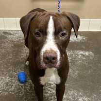 Thumbnail photo of Cliff #1