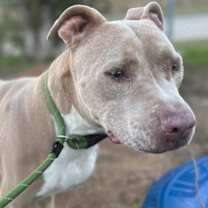 Thumbnail photo of Zeus #3