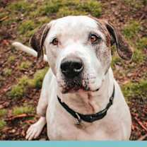 Thumbnail photo of Pablo #1