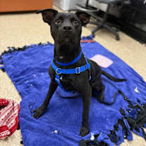 Thumbnail photo of HAZY #3