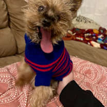 Thumbnail photo of Chuey #2