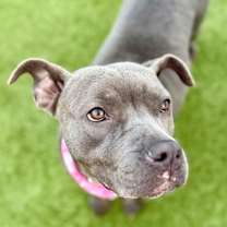 Thumbnail photo of Mia #1