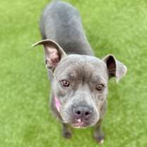 Thumbnail photo of Mia #2