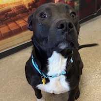 Thumbnail photo of Battenberg 37 #2