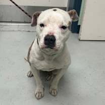 Thumbnail photo of Connor #2