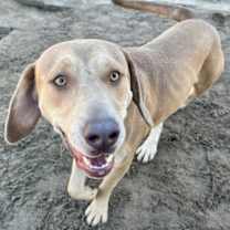 Thumbnail photo of Matcha #1